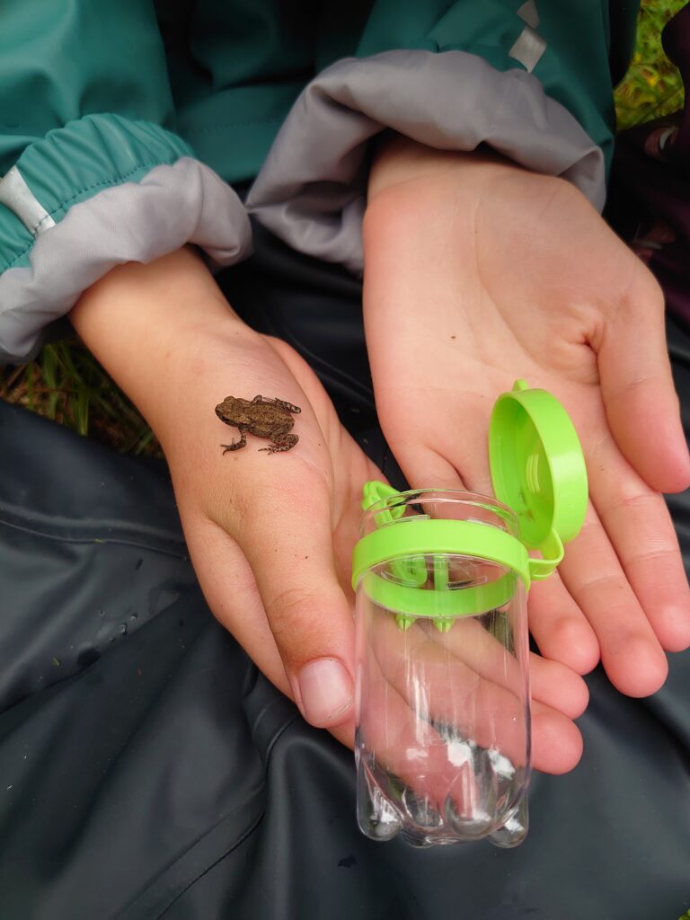 Utforske frosken med barn