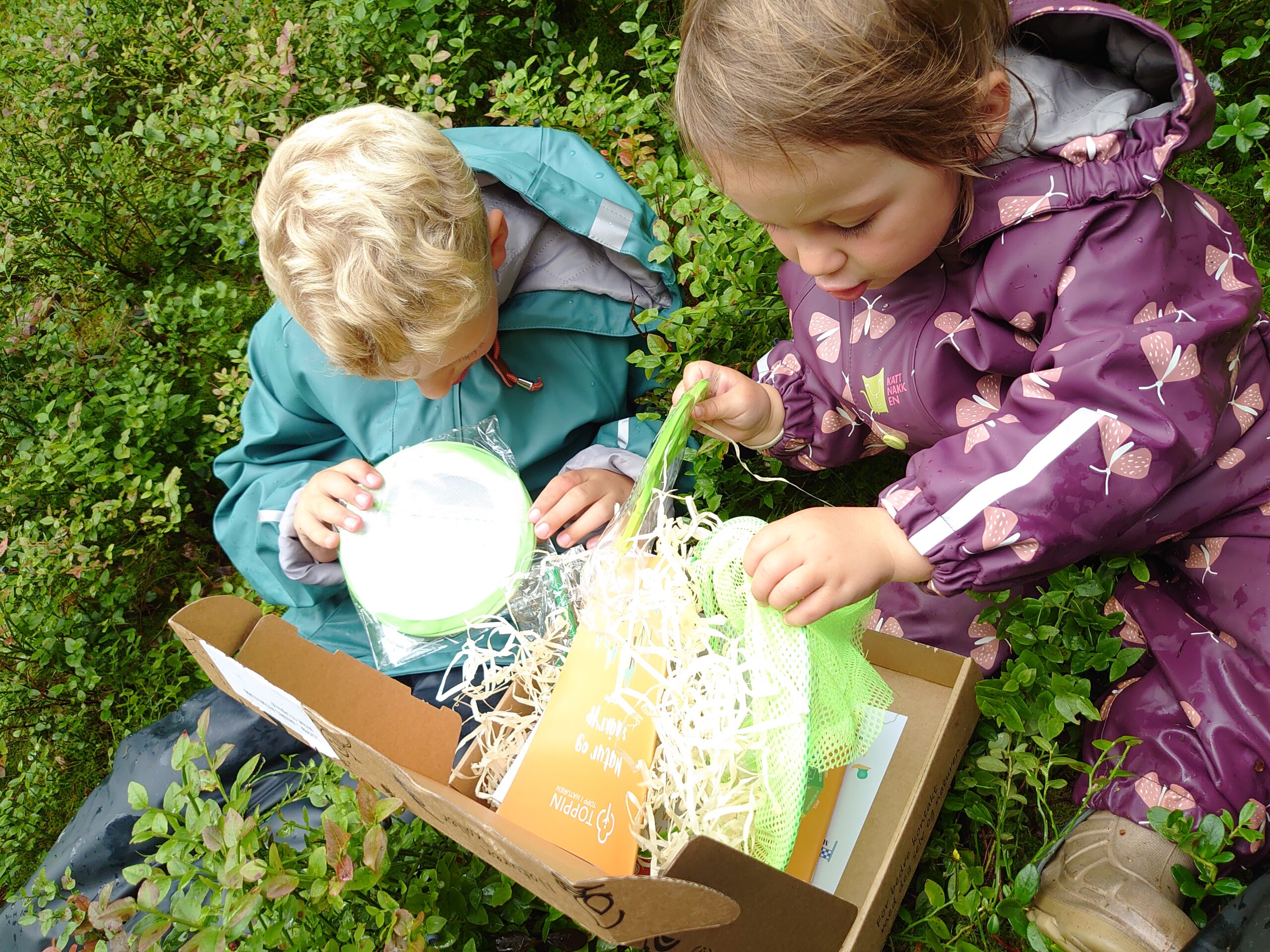 Natur og snåkryp boksen - barnas naturklubb