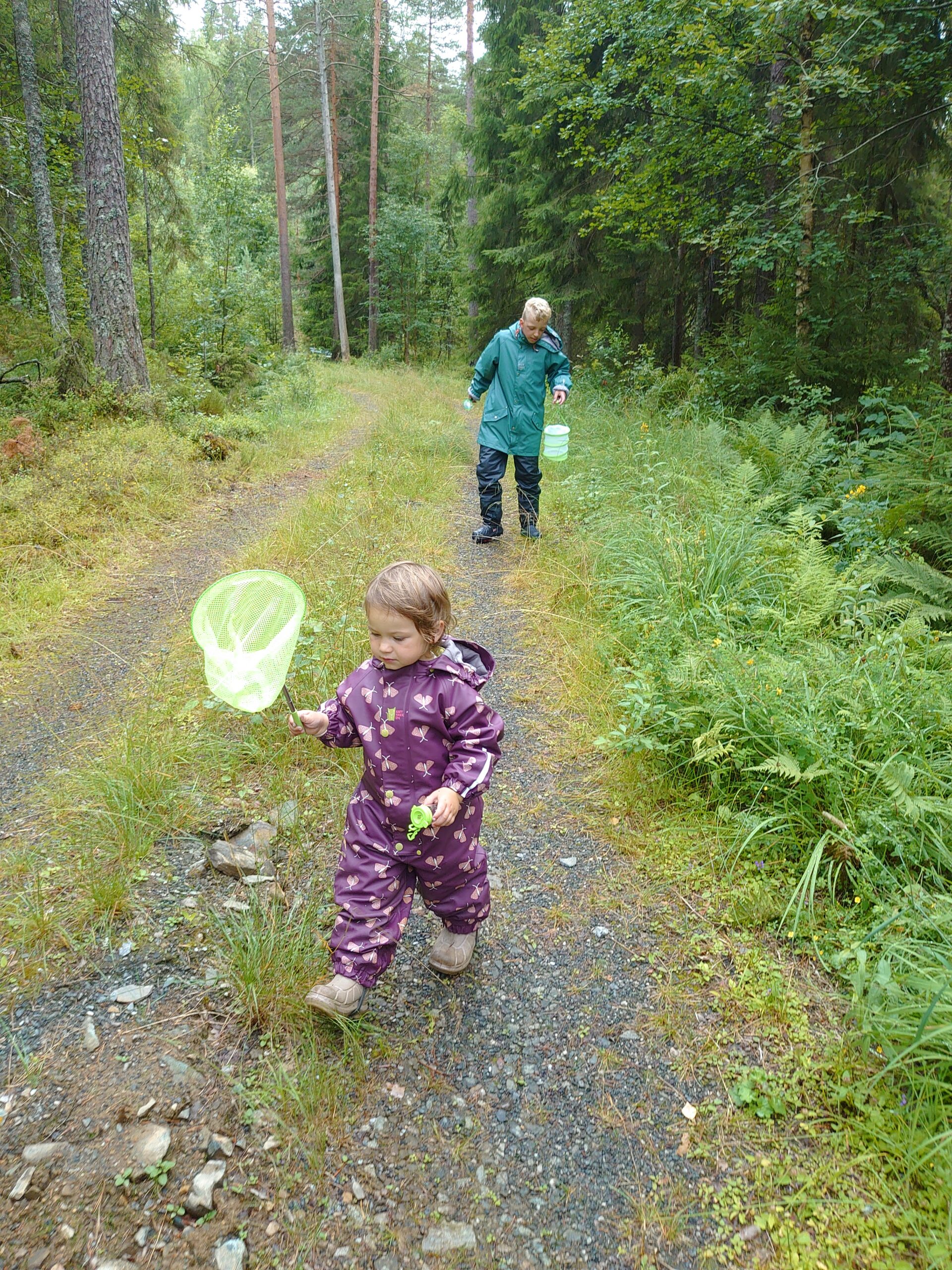 Fang sommerfugler med barn og barnas naturklubb